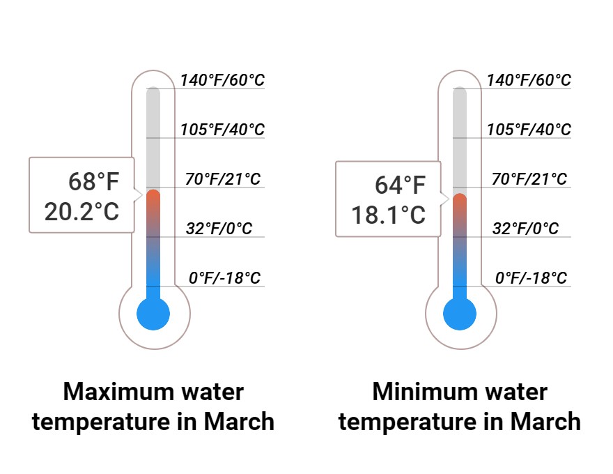 Average Sea temperature